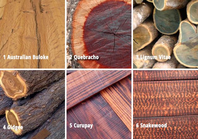 Las 5 especies de madera dura más populares que son irresistiblemente atractivas
