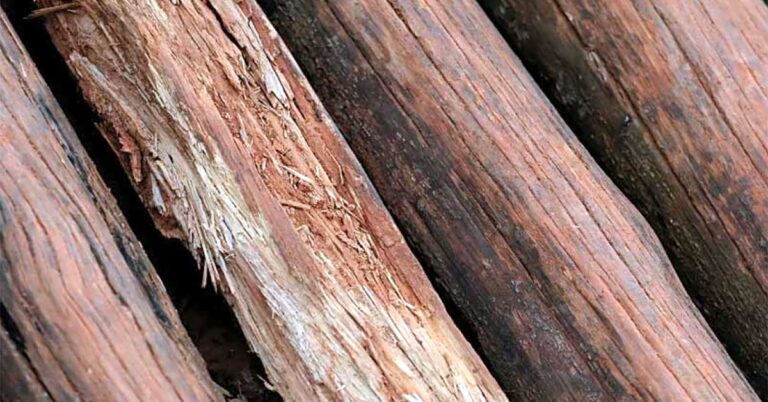 ¿Qué tipo de madera se utiliza para hacer manualidades?